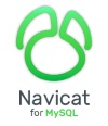 Navicat for MySQL Standard